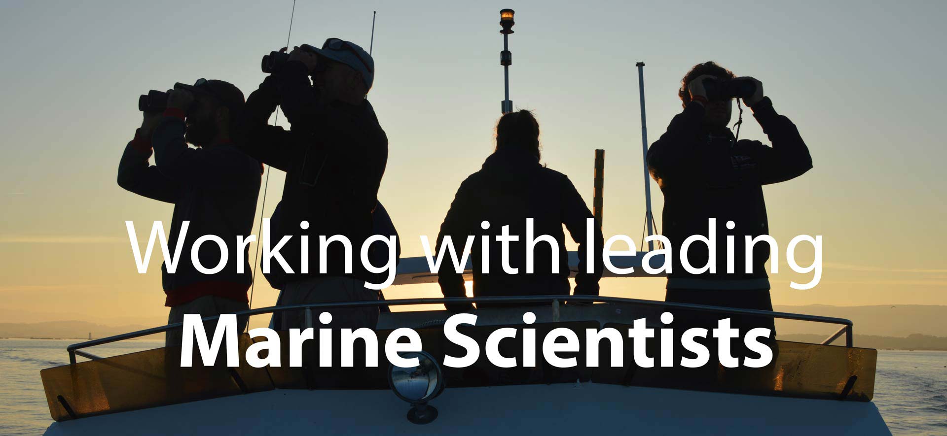 Marine mammal research and conservation